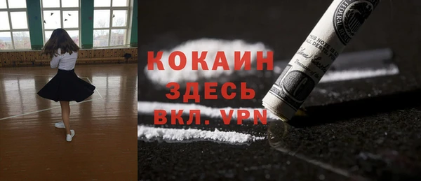 ECSTASY Дмитриев