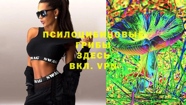 ECSTASY Дмитриев
