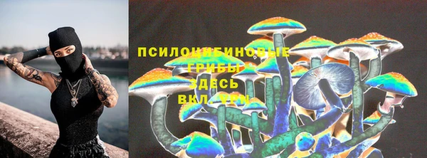 ECSTASY Дмитриев