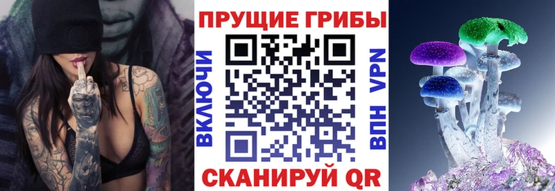 Галлюциногенные грибы Psilocybine cubensis Жирновск