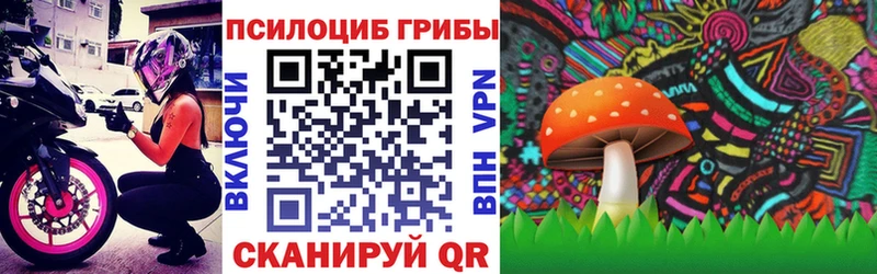 Псилоцибиновые грибы Psilocybine cubensis  где купить наркоту  Жирновск 